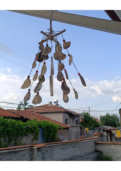 Gül-Ce Dekoratif Lodos Dalı Deniz Kabuklu Rüzgar Çanı
