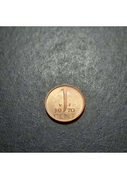 1970 Hollanda 1cent Çil Eski Yabancı Madeni Para 3996366A5A20264A1B