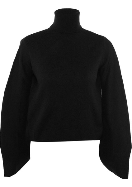 Kadın Moda Şık Regular Balıkçı Yaka Uzun Kol Düz Basic Balıkçı Yaka Triko Kazak