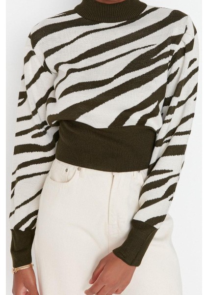 Kadın Moda Şık Crop Dik Yaka Uzun Kol Zebra Zebra Desenli Crop Triko Kazak fiyatları