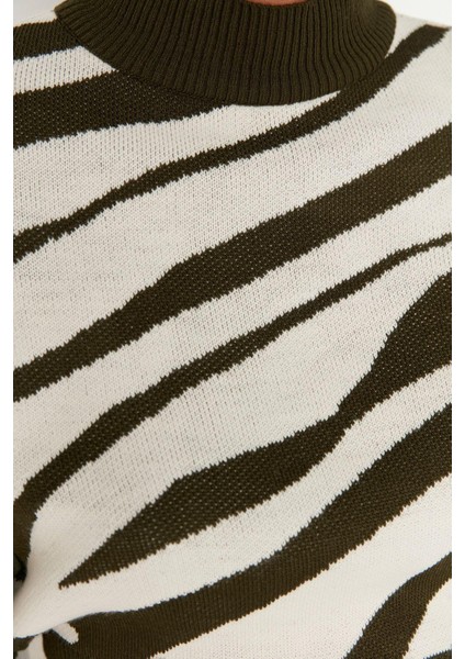 Kadın Moda Şık Crop Dik Yaka Uzun Kol Zebra Zebra Desenli Crop Triko Kazak indirimleri