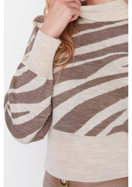 Kadın Moda Şık Crop Dik Yaka Uzun Kol Zebra Zebra Desenli Crop Triko Kazak fırsatları