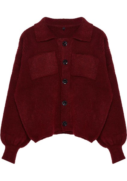 Kadın Moda Şık Regular Polo Yaka Regular Yumuşak Dokulu Mont Görünümlü Triko Hırka