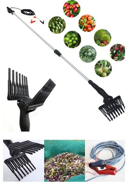 12V Teleskopik Uzayabilen Zeytin Silkeleme Hasat Makinas Zeytin Sallama Makinesi 1000W
