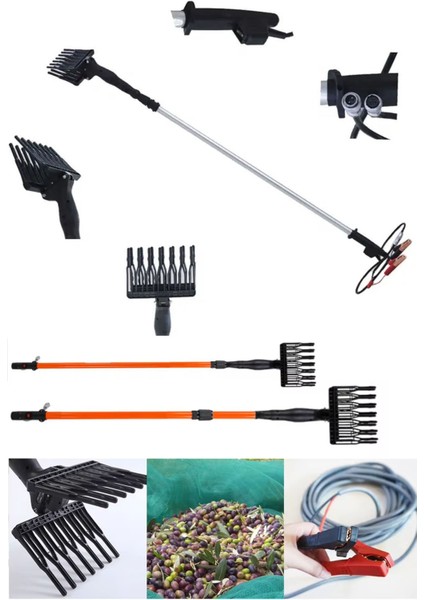 12V Teleskopik Uzayabilen Zeytin Silkeleme Hasat Makinas Zeytin Sallama Makinesi 1000W