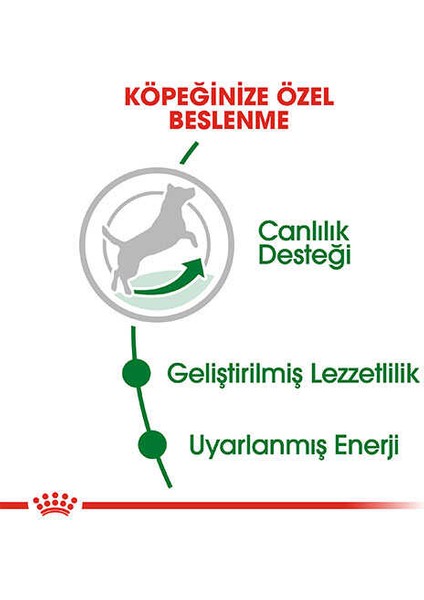 Mini Adult 8+ Küçük Irk Yaşlı Köpek Maması 2 kg modelleri