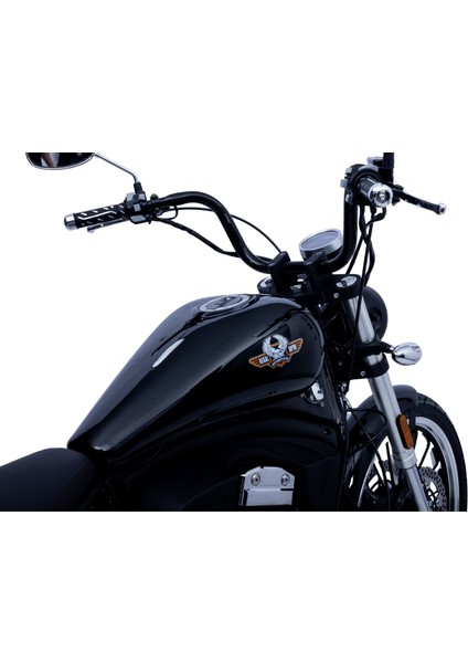 Daytona 250 S Chopper