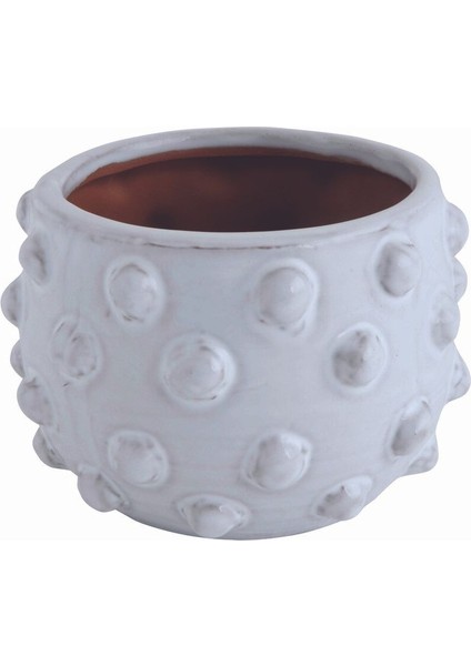 Noktalı Terracotta Saksı & Vazo fiyatları