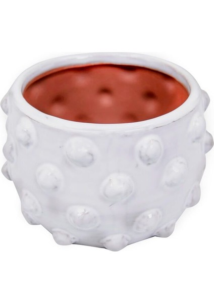 Noktalı Terracotta Saksı & Vazo indirimleri