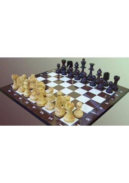 45X45CM Turnuva Tipi Kaliteli Ahşap Satranç Tahtası Sehpası ve Ahşap Satranç Piyon Takımı Seti