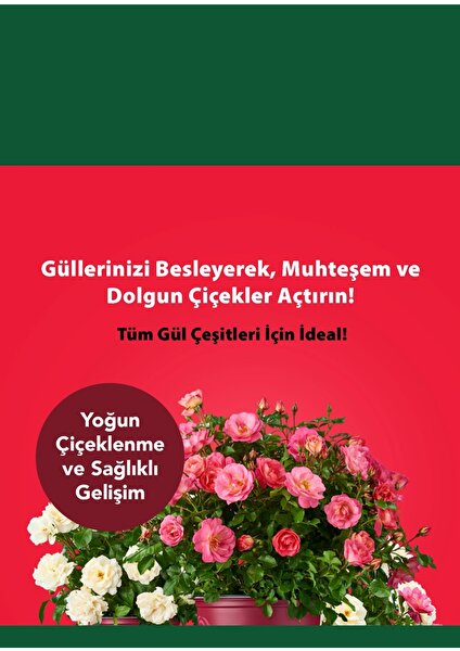 Petroturk Kullanım Hazır Gül Sıvı Bitki Besini –  Bol Çiçeklenme ve Güçlü Büyüme Sağlayın, Iç ve Dış Mekan Gülleri Için, 250ML,.