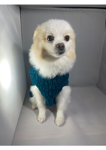 El Yapımı Köpek Kıyafet(Lacivert Xs)