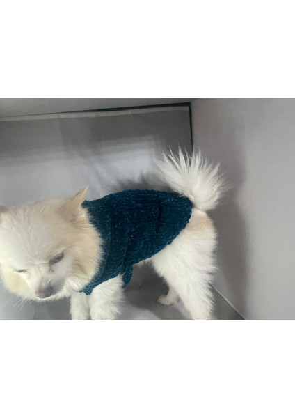 El Yapımı Köpek Kıyafet(Lacivert Xs)