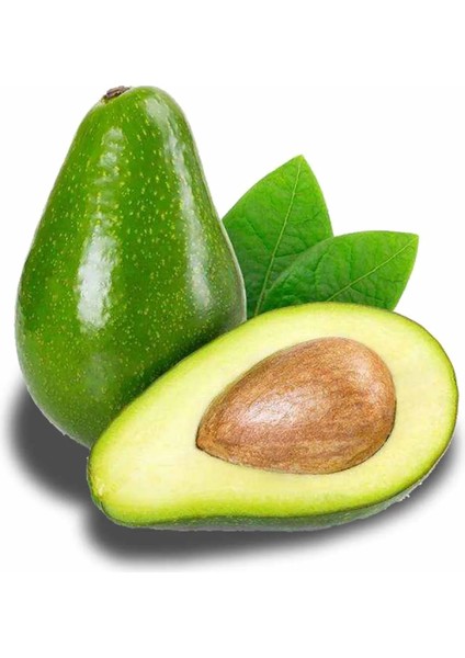 Avokado