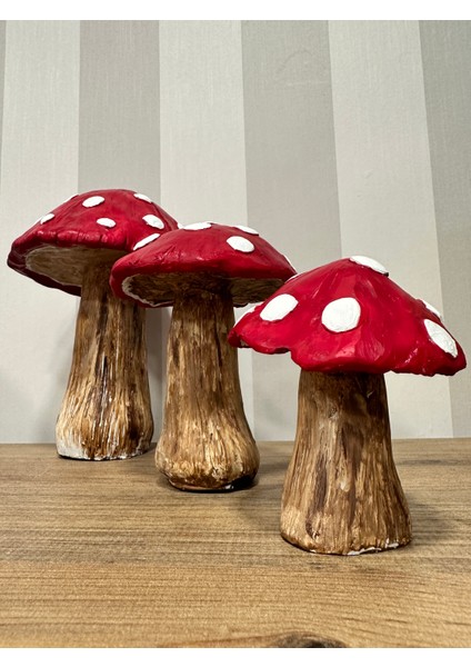 Dekoratif Üçlü Mantar Seti fırsatları