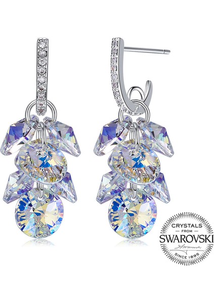 Monemel Swarovski Taşlı Küpe (Altın Kaplama)