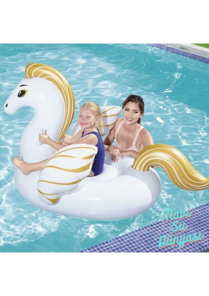 Pegasus Tutmalı Binici 159 x 109 cm