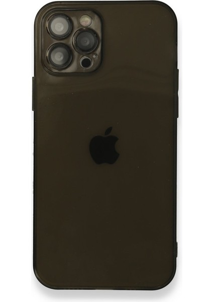 Apple iPhone 12 Pro Max Kılıf Darbelere Karşı Korunaklı Şeffaf Yüzey Fly Lens Silikon Kapak