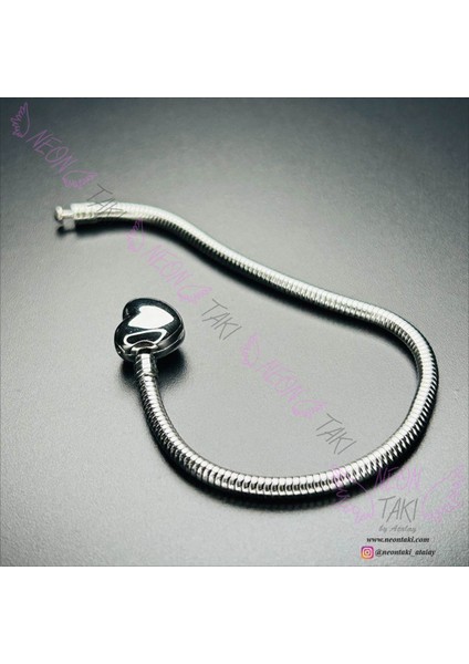 , Duyarlılık Etiketi ve Charm Taşıyıcı Paslanmaz Bileklik 139, Kalp Klipsli 19cm indirimleri
