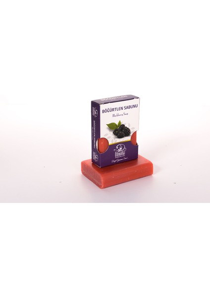 BÖĞPÜRTLEN SABUNU 100 GR