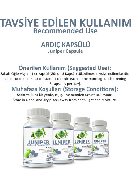 Ardıç Kapsül (JUNİPER CAPSULE)