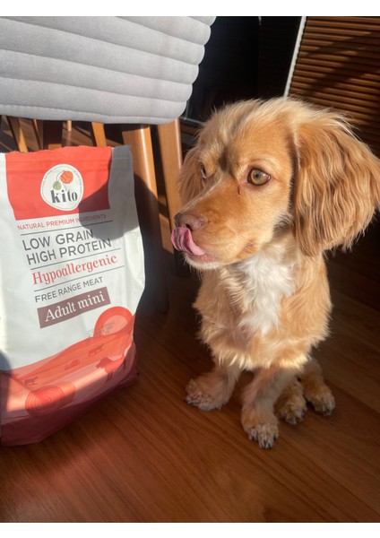 Yetişkin Mini Irk Köpek Maması 2.5 kg + Kito Fresh Tanışma Paketi fiyatları