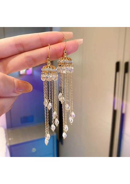 Üst Düzey ve Atmosferik Internet Ünlü Mizaç Küpeleri Avrupa ve Amerikan Modası Abartılı Elmas Taklidi Uzun Püskül Küpeler (Yurt Dışından)