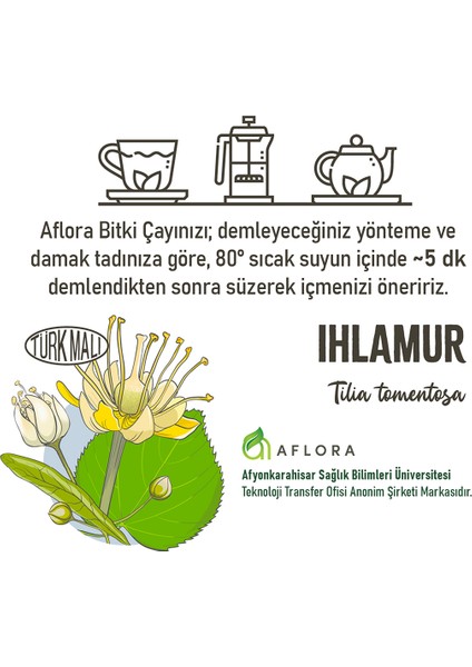 Ihlamur (Tilia Tomentosa) indirimleri
