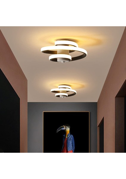 Modern LED Tavan Işığı 24W (Yurt Dışından)