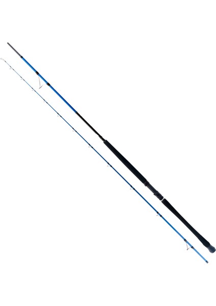 Shore Game Fuji Kw 310 cm 60-150 gr Shore Jig Kamış