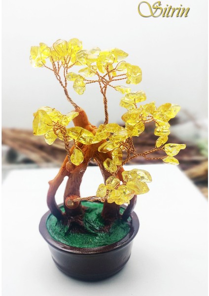 Sertifikalı Doğal Taş Ağaç Bakır Tel Sarmallı ( Özel Kutusu İle Gönderilmektedir)