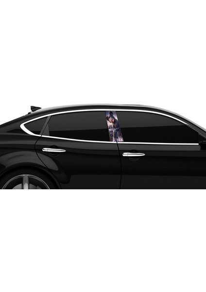 Araba Etiketleri, Tuning Kaplama, Direk Folyosu - Mickey Mouse Arabada modelleri