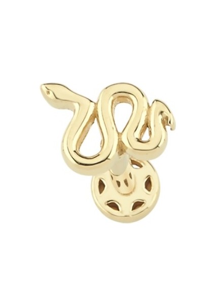 Altın Yılan Model Tragus Piercing
