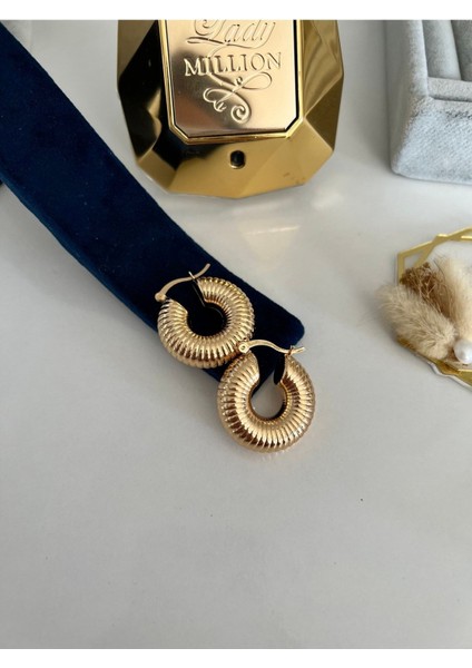 Gold Salyangoz Model Halka Küpe fiyatları