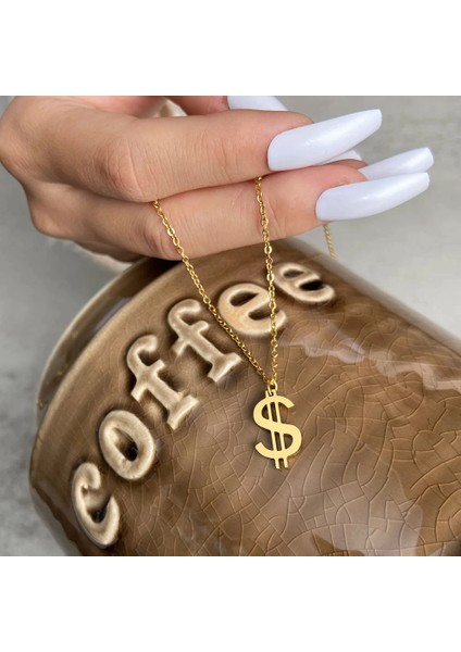 Dolar Gümüş Kolye modelleri