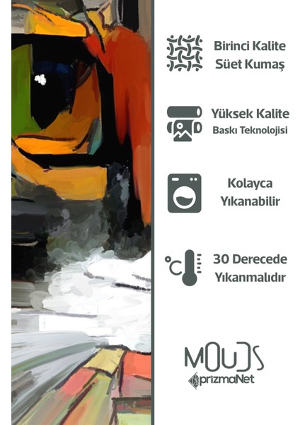 Çift Tarafı Baskılı Art Cat Desenli Tekli Süet Kırlent Kılıfı