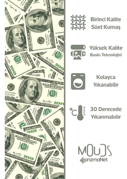 Çift Tarafı Baskılı Dolar Desenli Tekli Süet Kırlent Kılıfı