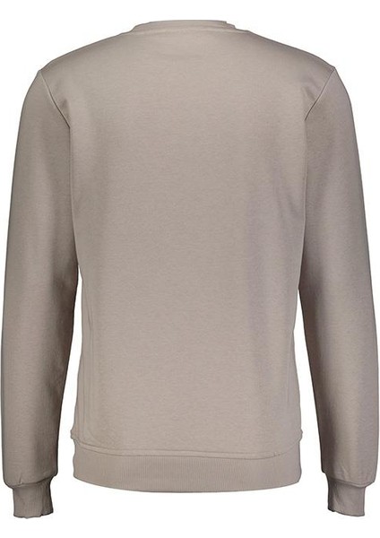 Erkek 3 Iplik Sweatshirt Şardonsuz 5242 Gri fiyatları