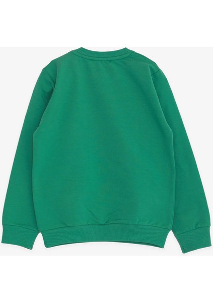 Erkek Çocuk Sweatshirt Ressam Ayıcık Baskılı 1-4 Yaş, Yeşil