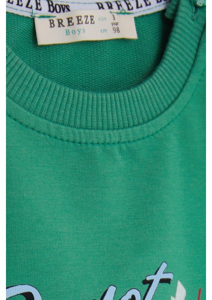 Erkek Çocuk Sweatshirt Ressam Ayıcık Baskılı 1-4 Yaş, Yeşil