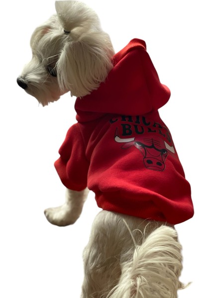 Odi Fashion Kapişonlu Polar Sweatshirt Köpek ve Kedi Kıyafeti