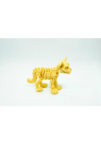Iskelet Kedi 3D Hareketli Model