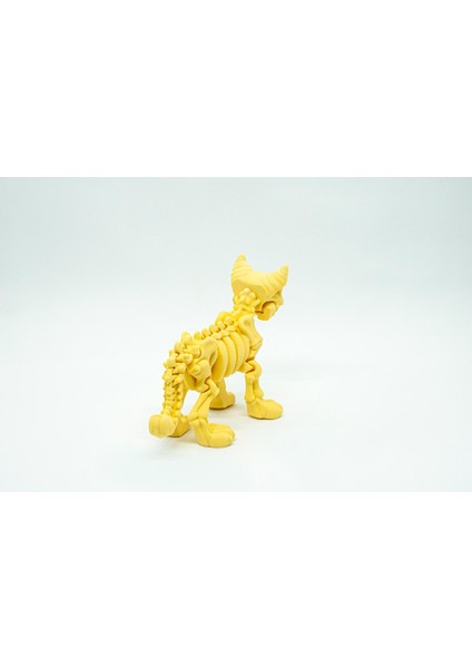 Iskelet Kedi 3D Hareketli Model