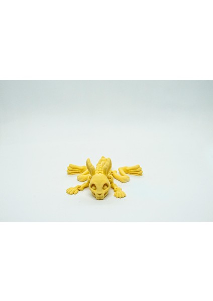 Iskelet Tavşan 3D Hareketli Model