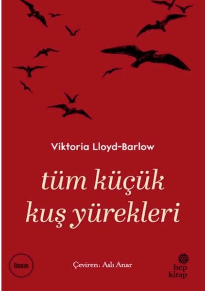 Tüm Küçük Kuş Yürekleri - Viktoria Lloyd-Barlow