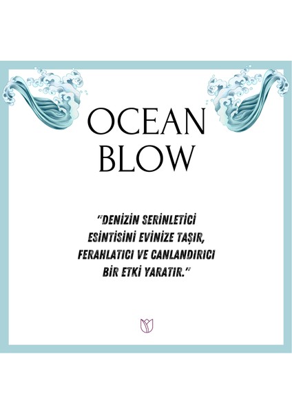 Lil Home Okyanus Esintisi Çubuklu Oda Kokusu Bambu Ocean Blow Reed Diffuser 50 ml