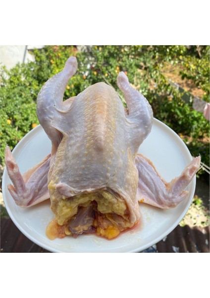 Köy Tavuğu (Serbest Gezen) ( adet ağırlığı 1300-1600 gr.) fiyatları