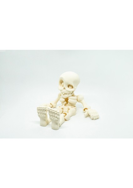 Insan Iskelet 3D Hareketli Model Küçük Boy