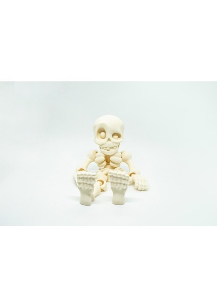 Insan Iskelet 3D Hareketli Model Küçük Boy