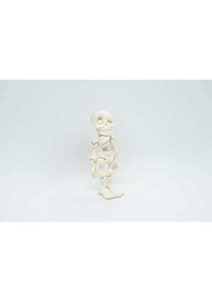 Insan Iskelet 3D Hareketli Model Küçük Boy